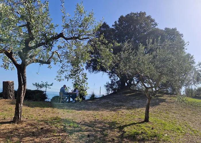 Eteras Verrusio Art トリーノ・ディ・サングロ